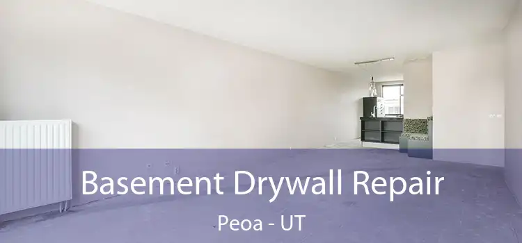 Basement Drywall Repair Peoa - UT