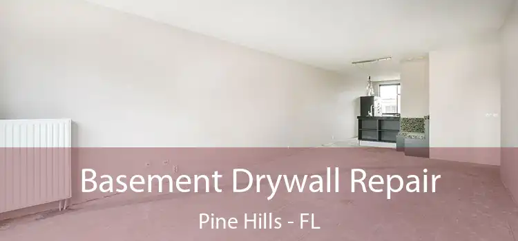  Basement Drywall Repair Pine Hills - FL