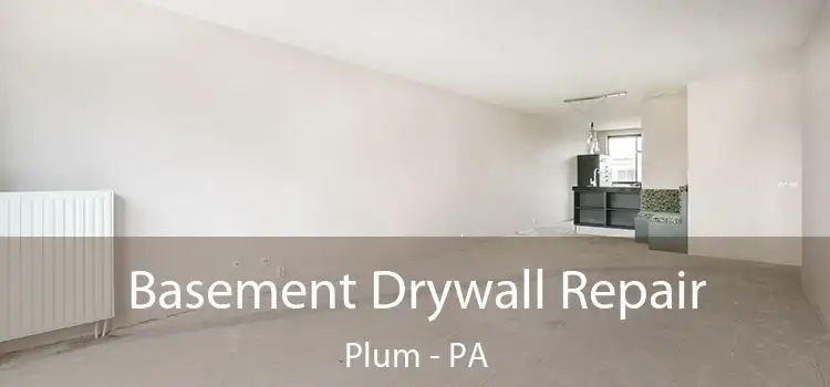 Basement Drywall Repair Plum - PA