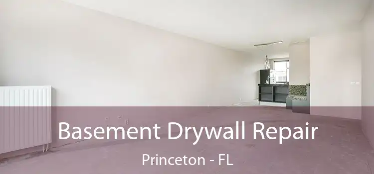 Basement Drywall Repair Princeton - FL