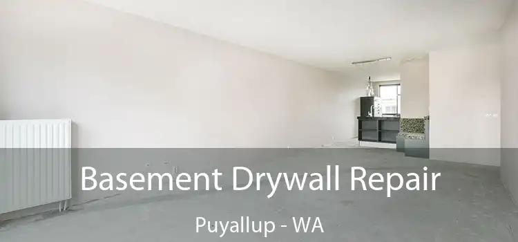  Basement Drywall Repair Puyallup - WA