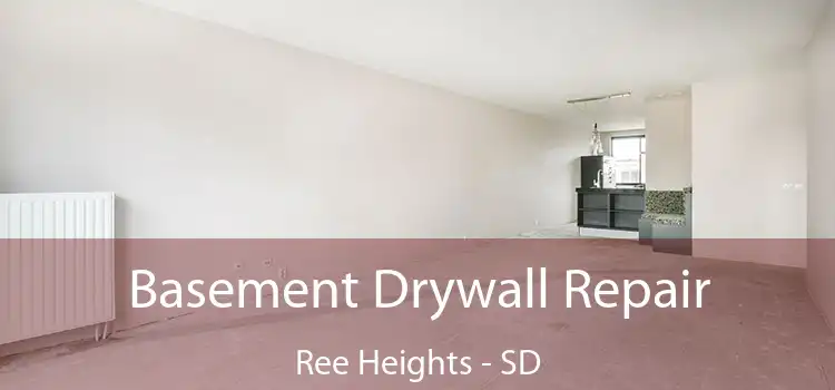 Basement Drywall Repair Ree Heights - SD