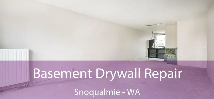  Basement Drywall Repair Snoqualmie - WA