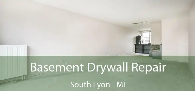 Basement Drywall Repair South Lyon - MI