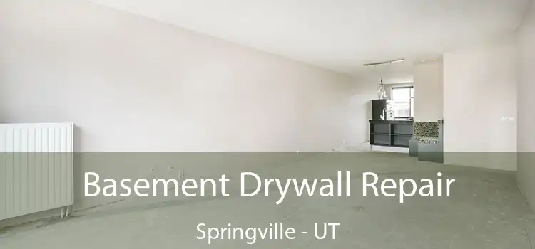 Basement Drywall Repair Springville - UT