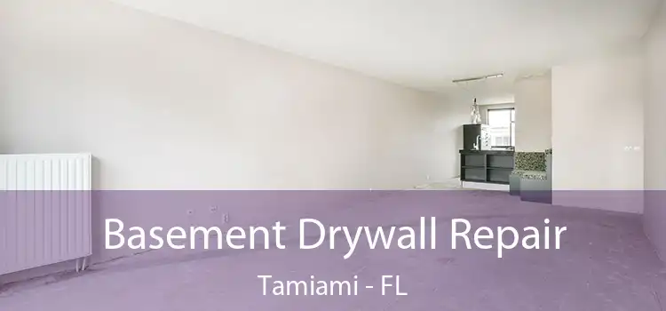 Basement Drywall Repair Tamiami - FL