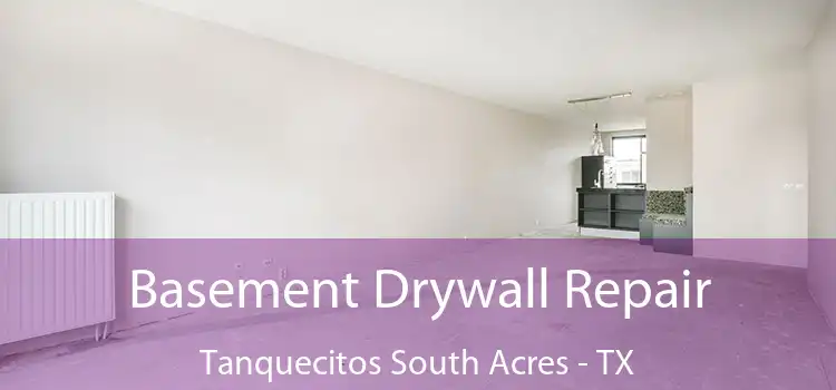 Basement Drywall Repair Tanquecitos South Acres - TX