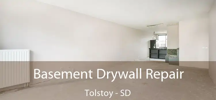 Basement Drywall Repair Tolstoy - SD