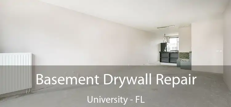  Basement Drywall Repair University - FL