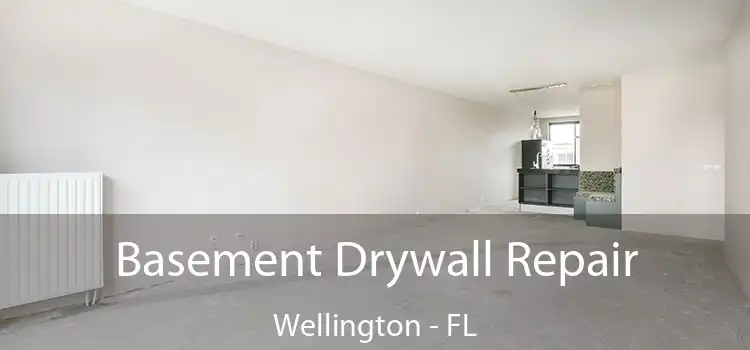 Basement Drywall Repair Wellington - FL