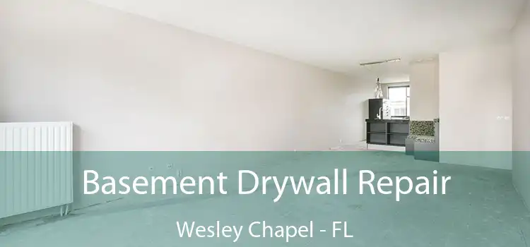 Basement Drywall Repair Wesley Chapel - FL