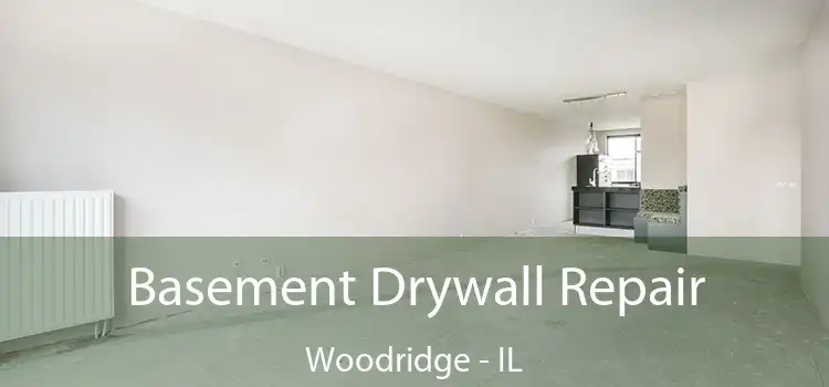  Basement Drywall Repair Woodridge - IL