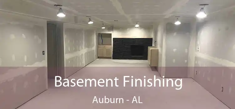 Basement Finishing Auburn - AL
