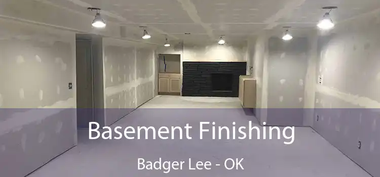 Basement Finishing Badger Lee - OK