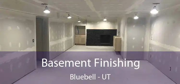 Basement Finishing Bluebell - UT