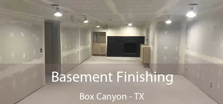 Basement Finishing Box Canyon - TX