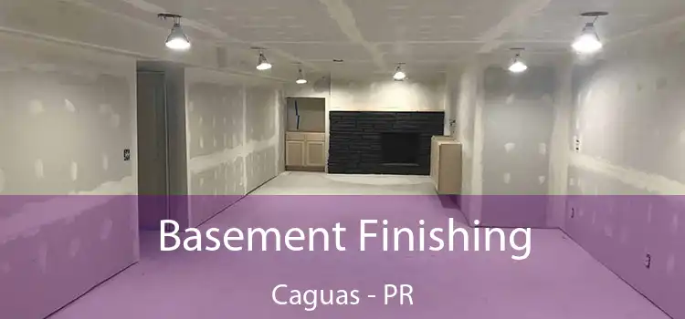  Basement Finishing Caguas - PR