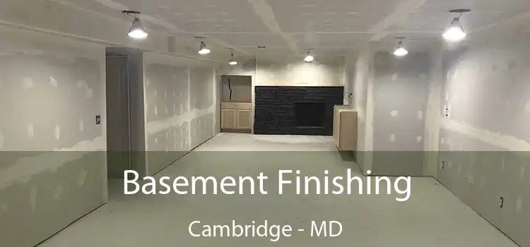  Basement Finishing Cambridge - MD