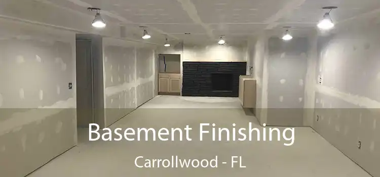  Basement Finishing Carrollwood - FL