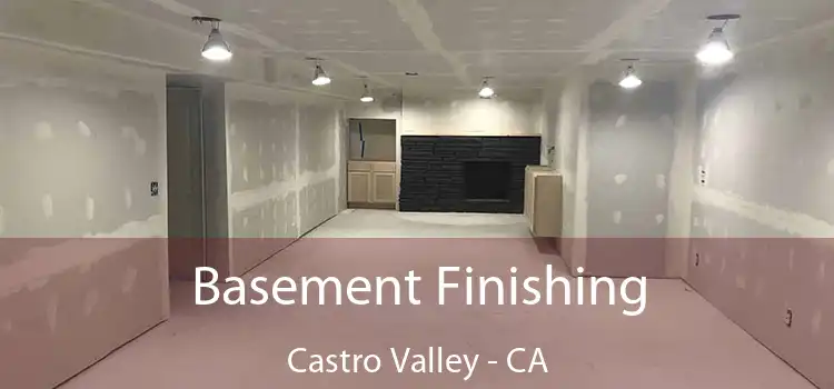  Basement Finishing Castro Valley - CA