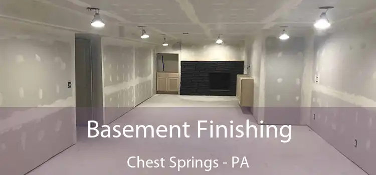 Basement Finishing Chest Springs - PA