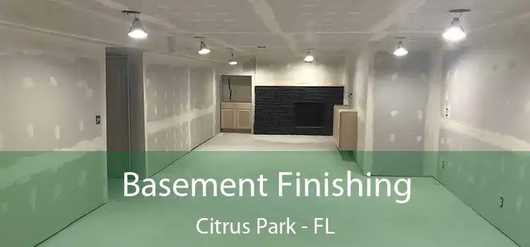 Basement Finishing Citrus Park - FL