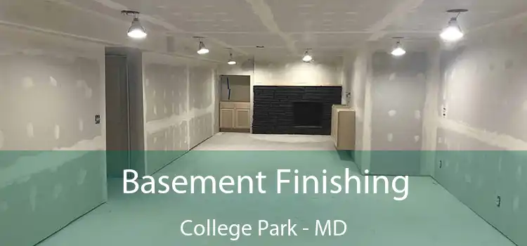 Basement Finishing College Park - MD