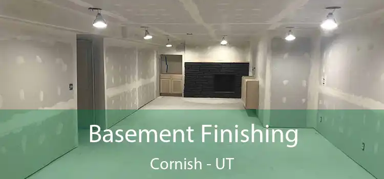 Basement Finishing Cornish - UT