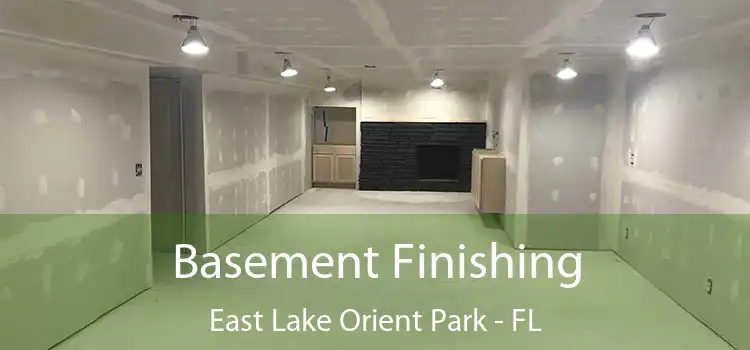  Basement Finishing East Lake Orient Park - FL