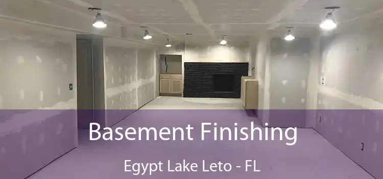 Basement Finishing Egypt Lake Leto - FL