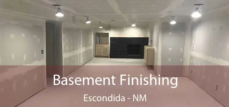 Basement Finishing Escondida - NM