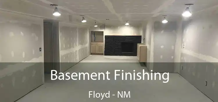Basement Finishing Floyd - NM