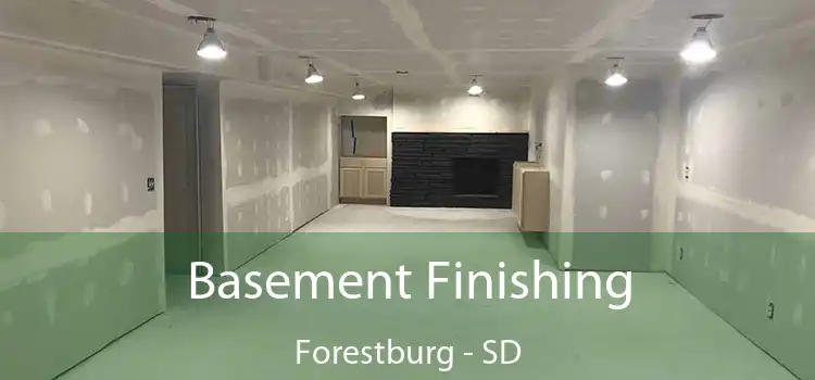 Basement Finishing Forestburg - SD