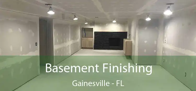  Basement Finishing Gainesville - FL