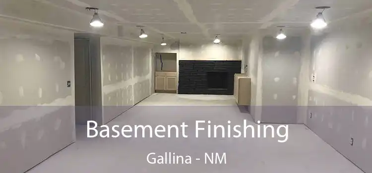 Basement Finishing Gallina - NM