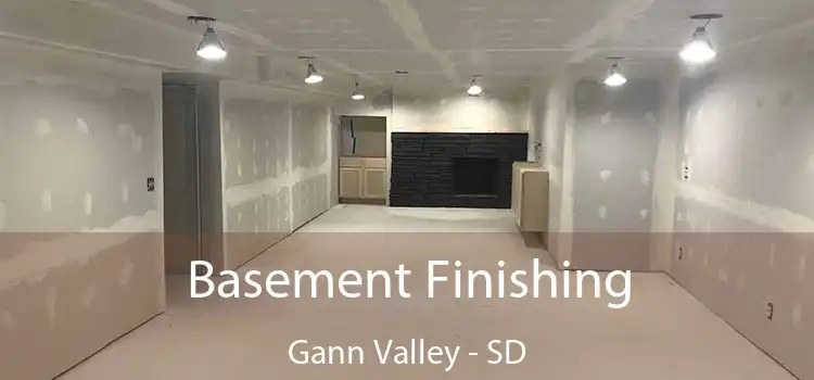 Basement Finishing Gann Valley - SD