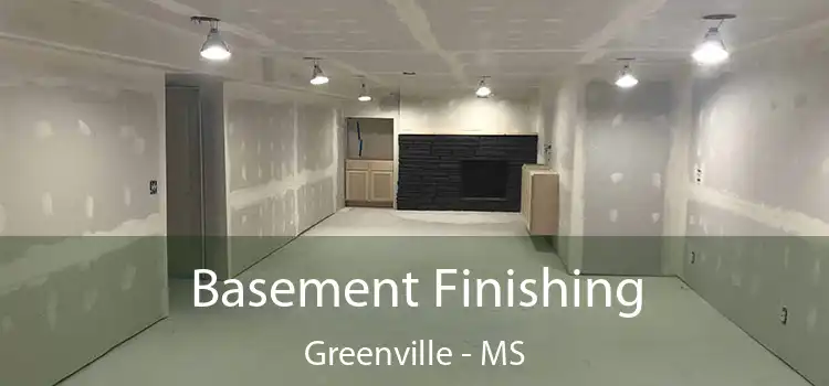  Basement Finishing Greenville - MS