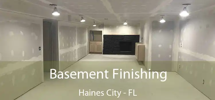 Basement Finishing Haines City - FL