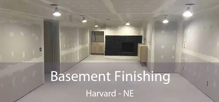 Basement Finishing Harvard - NE
