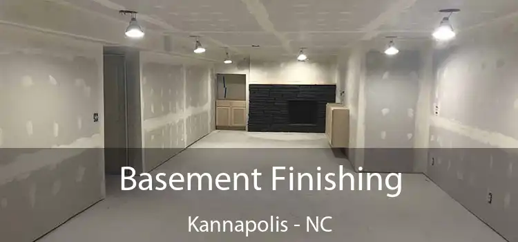 Basement Finishing Kannapolis - NC