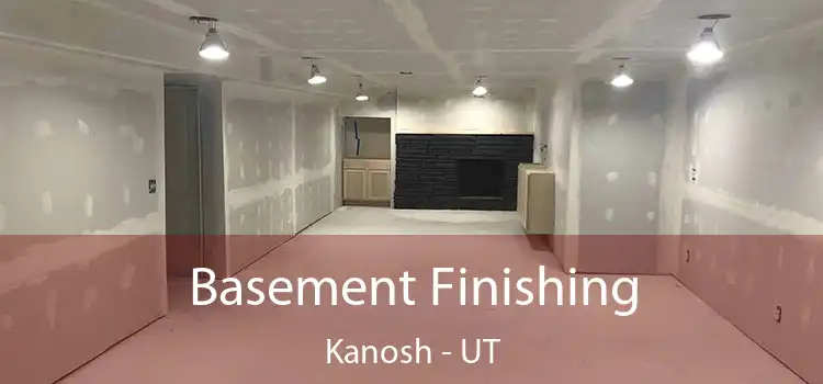  Basement Finishing Kanosh - UT