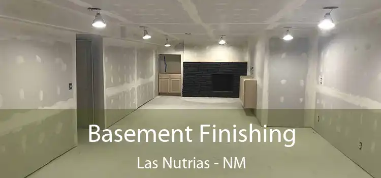 Basement Finishing Las Nutrias - NM
