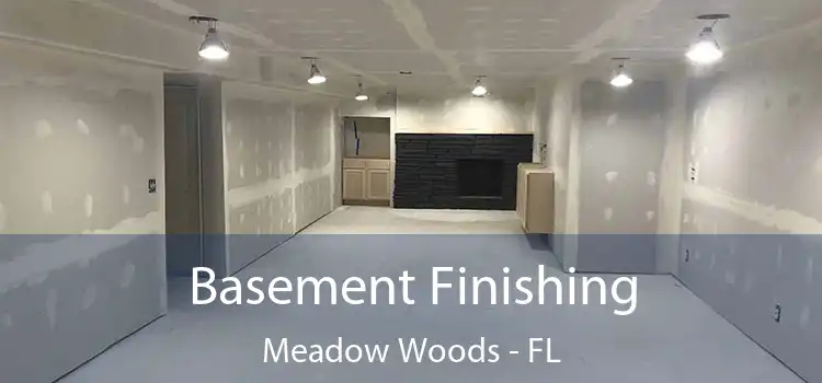  Basement Finishing Meadow Woods - FL
