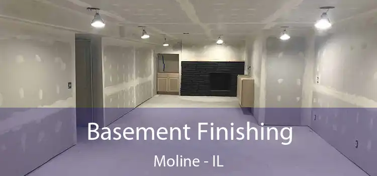 Basement Finishing Moline - IL