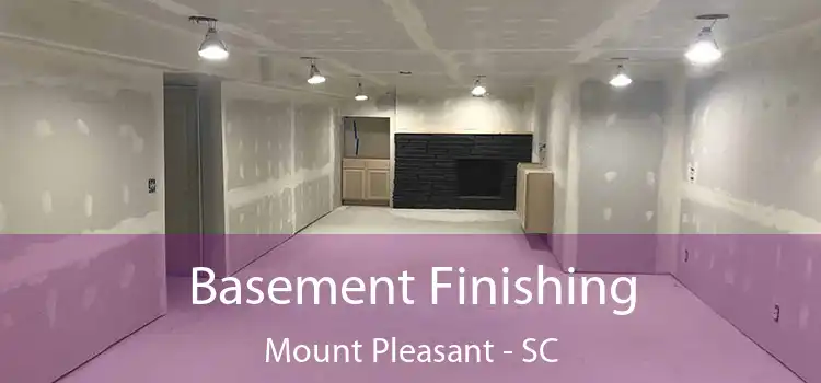 Basement Finishing Mount Pleasant - SC