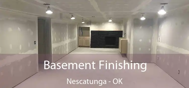  Basement Finishing Nescatunga - OK