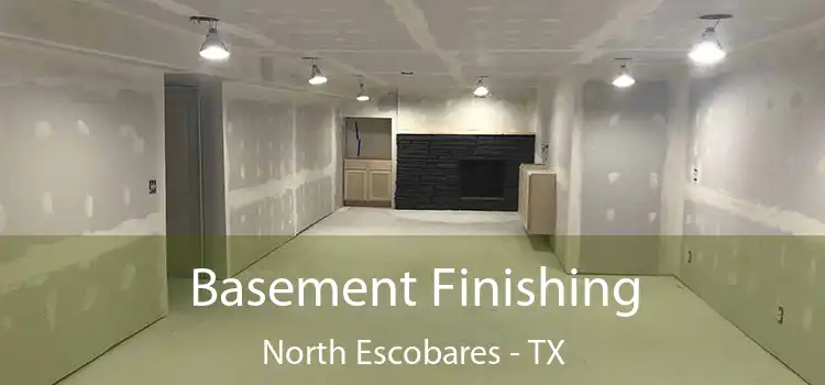 Basement Finishing North Escobares - TX