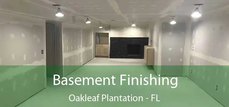 Basement Finishing Oakleaf Plantation - FL