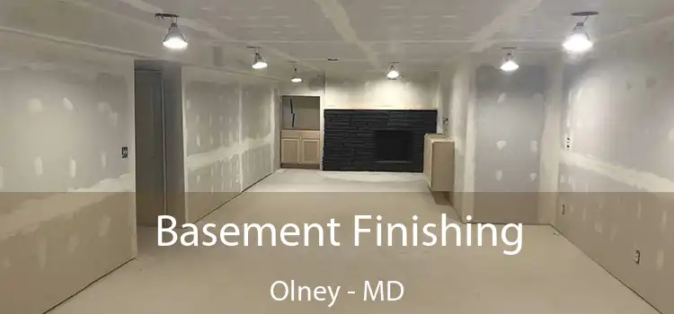 Basement Finishing Olney - MD