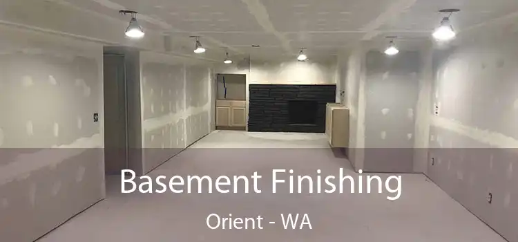  Basement Finishing Orient - WA